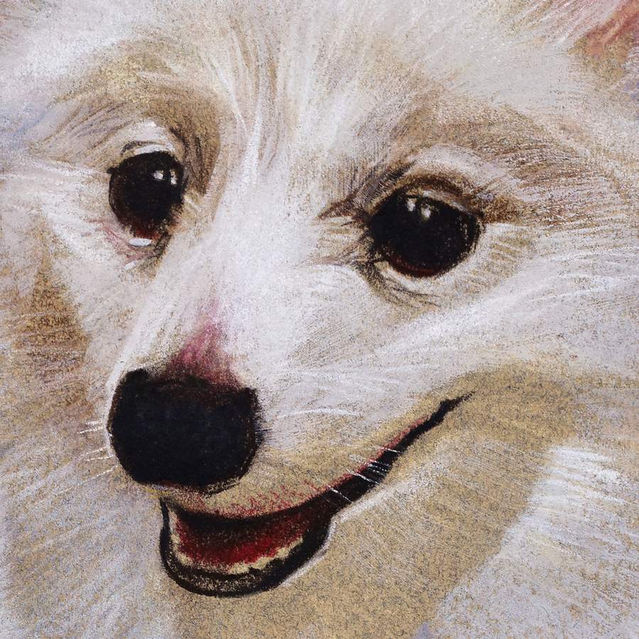 Detalhe do pelo de um cão branco pintado, fio a fio, sobre papel tonalizado.