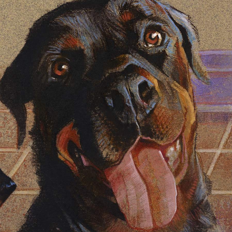 Detalhe do focinho e do olho de uma rottweiler pintada em técnica mista.
