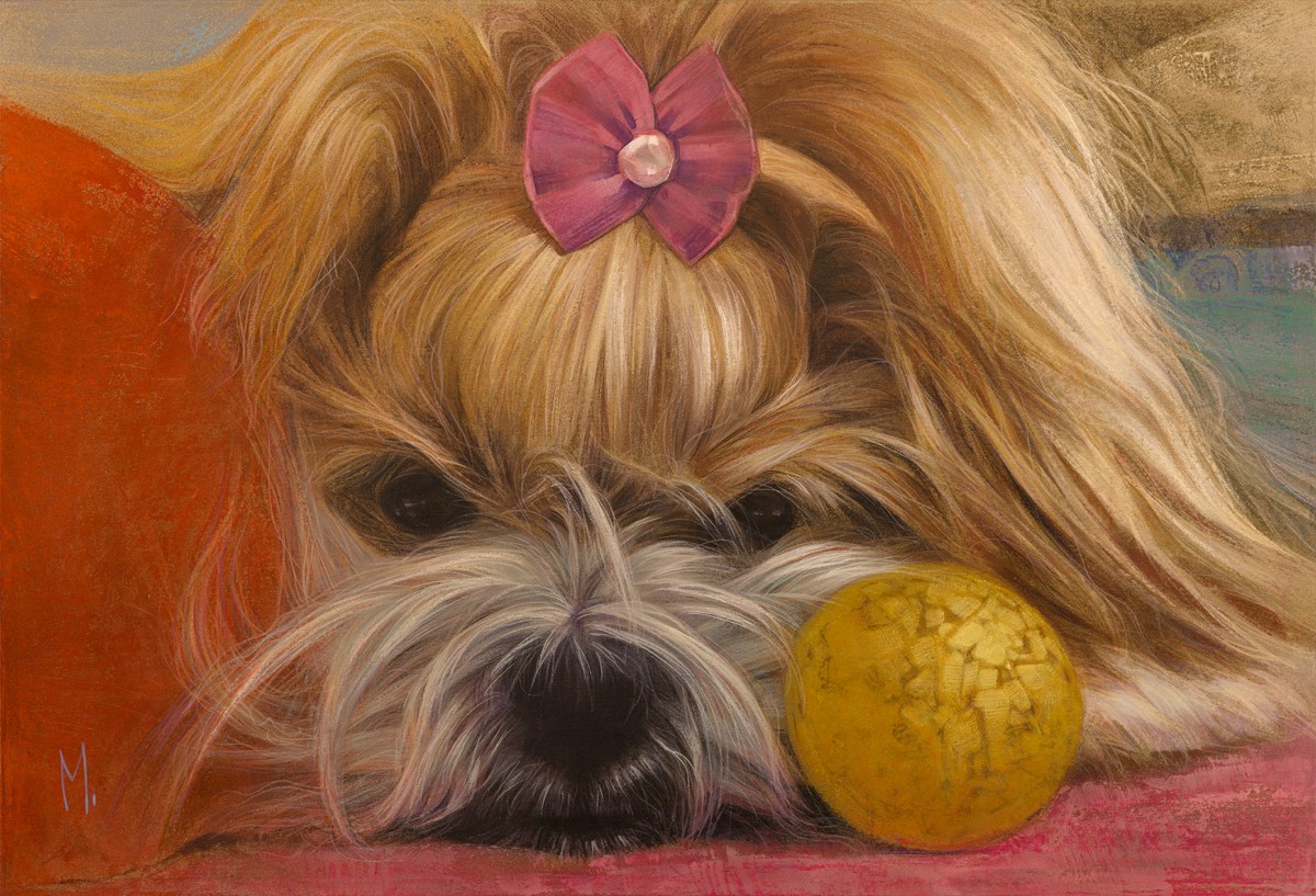 Retrato de cadela shih tzu com laço rosa, cabeça apoiada ao lado de uma bolinha amarela.