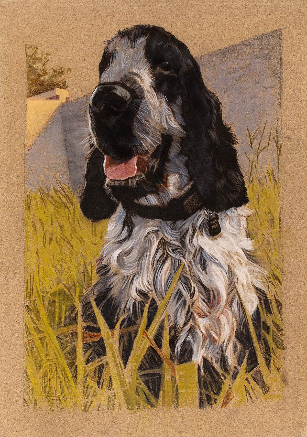 Retrato de cocker spaniel preto e branco no meio de um capinzal amarelo.