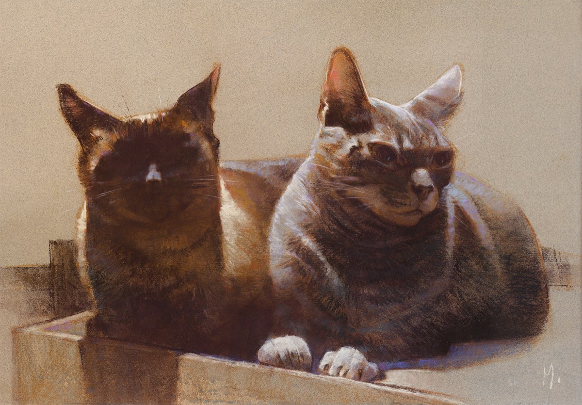 Retrato de dois gatos deitados lado a lado dentro de uma caixa, em luz suave.